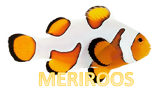 Meriroos logo